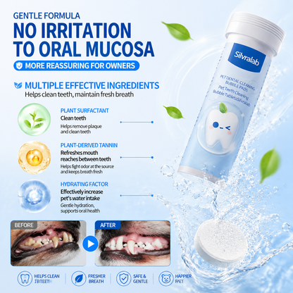 😸🐶The Easiest Way to Care for Your Pet’s Teeth