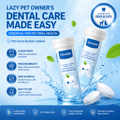 😸🐶The Easiest Way to Care for Your Pet’s Teeth