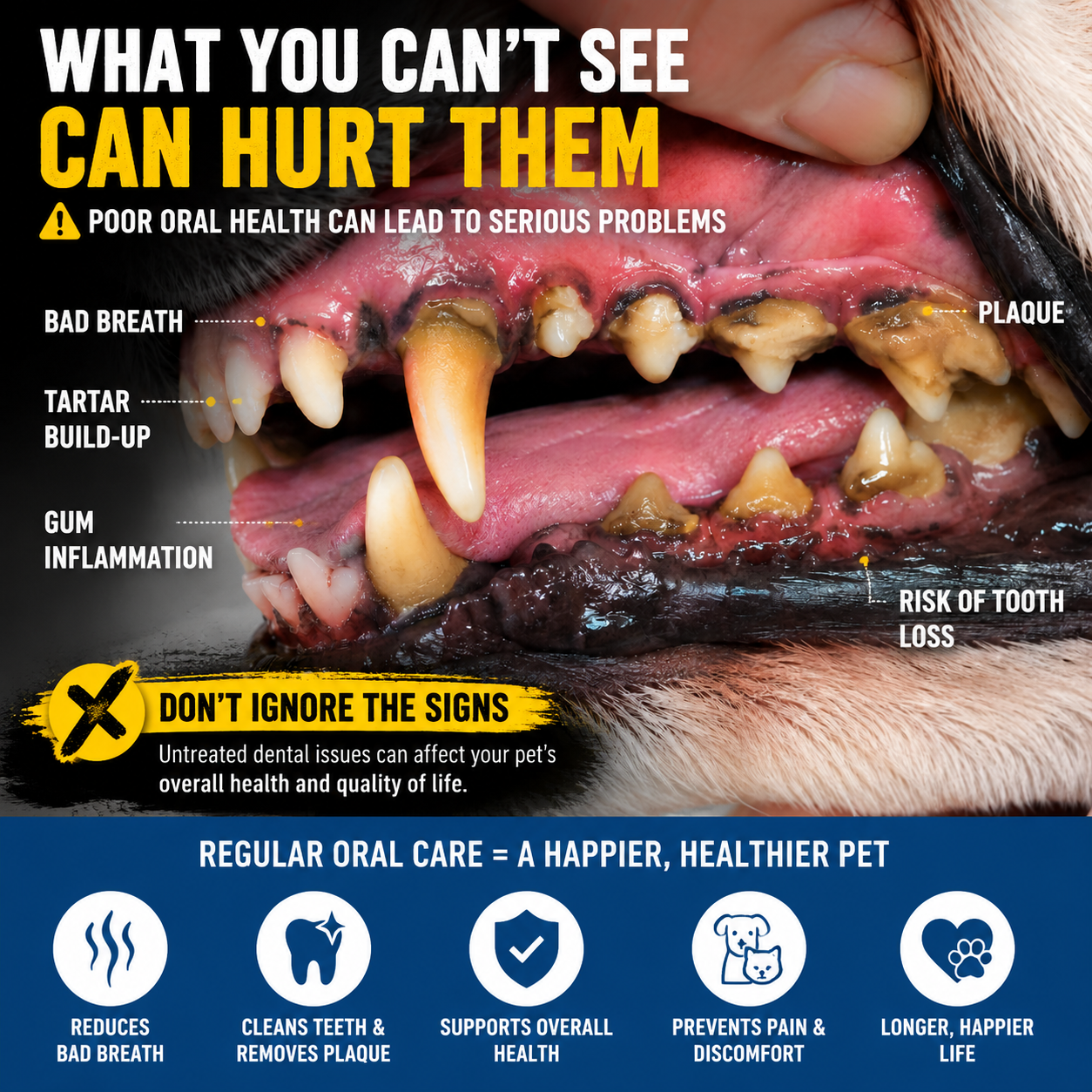 😸🐶The Easiest Way to Care for Your Pet’s Teeth