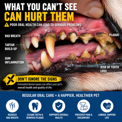 😸🐶The Easiest Way to Care for Your Pet’s Teeth