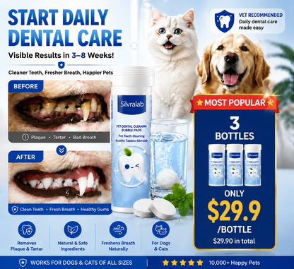 😸🐶The Easiest Way to Care for Your Pet’s Teeth