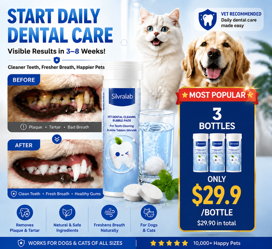 😸🐶The Easiest Way to Care for Your Pet’s Teeth