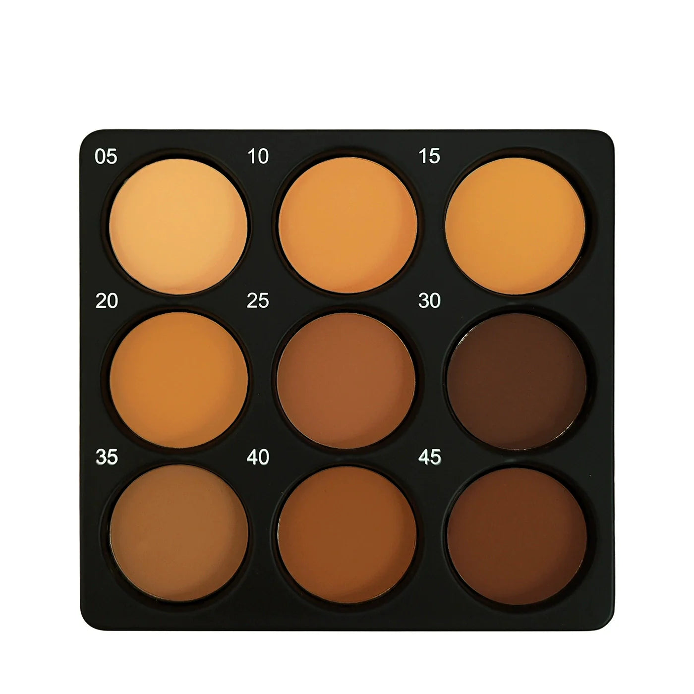 Tarteglow 9-Color Foundation & Concealer Palette