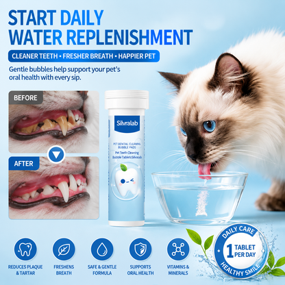 😸🐶The Easiest Way to Care for Your Pet’s Teeth